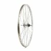 Other Wheel Shop, Alex C1000 Silver/ CF-E10 Coaster 18T, Wheel, Rear, 26'' / 559, Holes: 36, Bolt-on, 110mm, Coaster